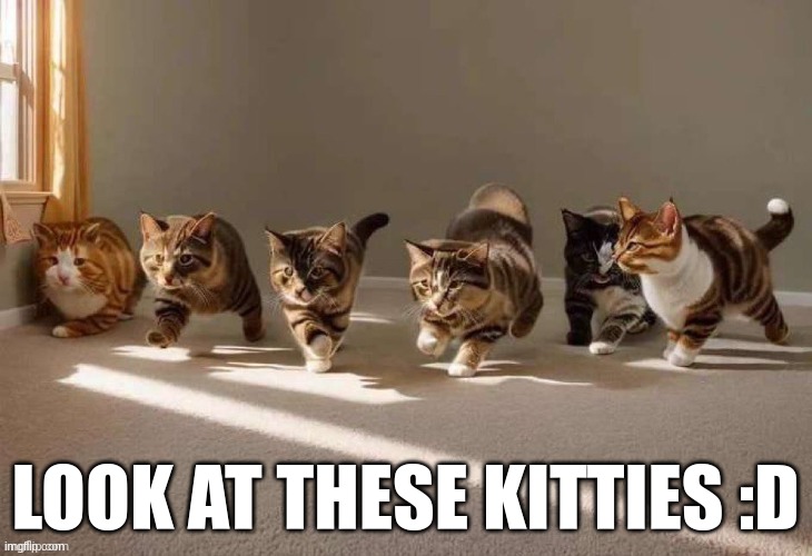 LOOK AT THESE KITTIES :D | made w/ Imgflip meme maker