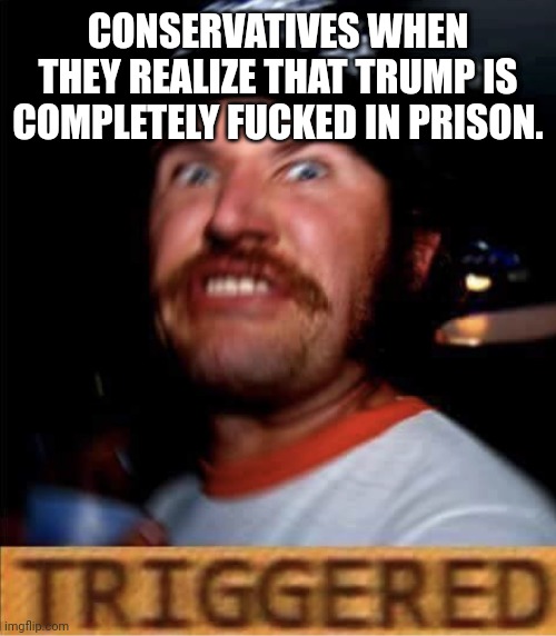 Triggered Conservative | CONSERVATIVES WHEN THEY REALIZE THAT TRUMP IS COMPLETELY FUCKED IN PRISON. | image tagged in triggered conservative | made w/ Imgflip meme maker