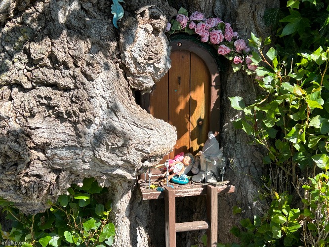 Fairy garden with lizard:) | made w/ Imgflip meme maker
