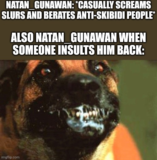 the hipocrisy | NATAN_GUNAWAN: *CASUALLY SCREAMS SLURS AND BERATES ANTI-SKIBIDI PEOPLE*; ALSO NATAN_GUNAWAN WHEN SOMEONE INSULTS HIM BACK: | image tagged in rabid dog | made w/ Imgflip meme maker