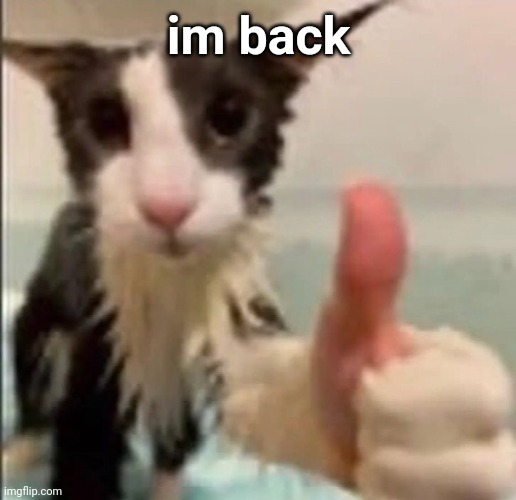 Cat thumbs up | im back | image tagged in cat thumbs up | made w/ Imgflip meme maker