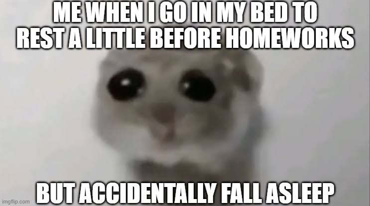 Eepy Lithil | ME WHEN I GO IN MY BED TO REST A LITTLE BEFORE HOMEWORKS; BUT ACCIDENTALLY FALL ASLEEP | image tagged in sad hamster,sleep | made w/ Imgflip meme maker