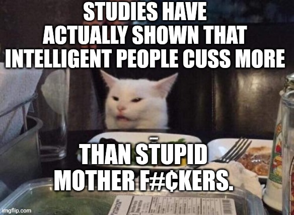 Smudge that darn cat | STUDIES HAVE ACTUALLY SHOWN THAT INTELLIGENT PEOPLE CUSS MORE; THAN STUPID MOTHER F#¢KERS. | image tagged in smudge that darn cat | made w/ Imgflip meme maker