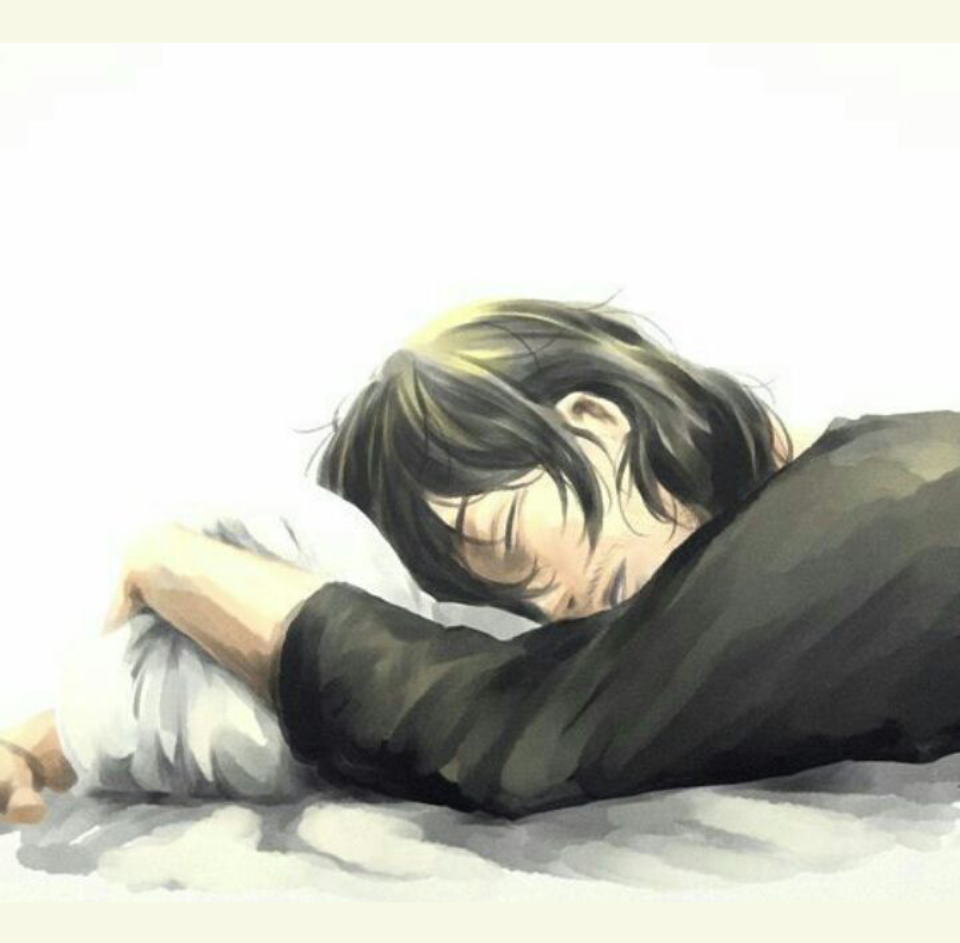Sleeping Aizawa & Wolfie Blank Meme Template