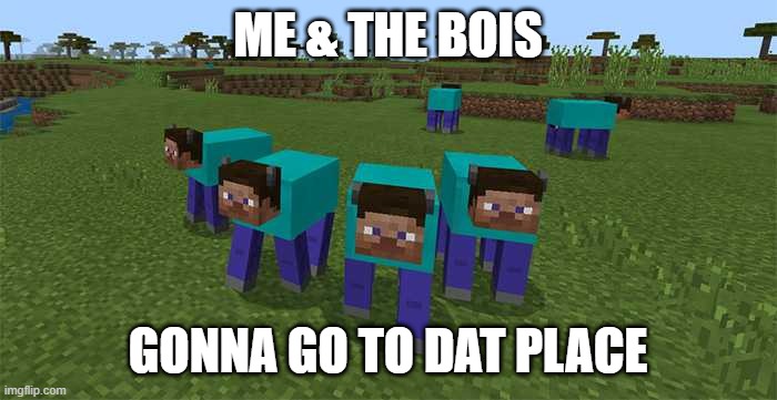 me and the boys | ME & THE BOIS GONNA GO TO DAT PLACE | image tagged in me and the boys | made w/ Imgflip meme maker