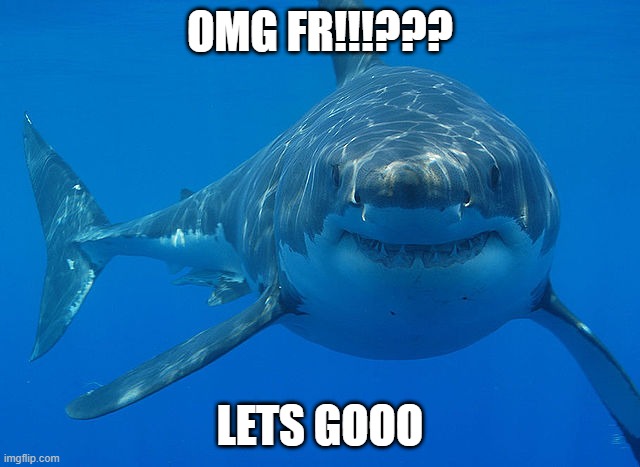great white shark  | OMG FR!!!??? LETS GOOO | image tagged in great white shark | made w/ Imgflip meme maker