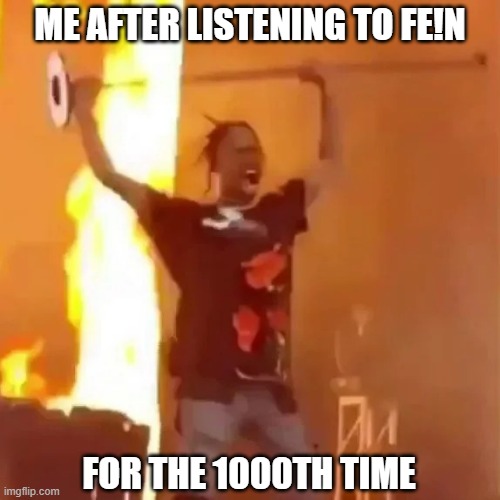 Travis Scott did die for this | ME AFTER LISTENING TO FE!N; FOR THE 1000TH TIME | image tagged in travis scott concert,travis scott | made w/ Imgflip meme maker