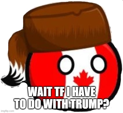 Canada Countryballs | WAIT TF I HAVE TO DO WITH TRUMP? | image tagged in canada countryballs | made w/ Imgflip meme maker