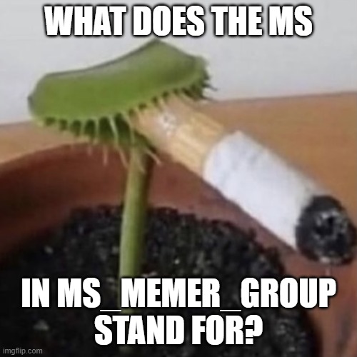 Plant smoking a cigarette | WHAT DOES THE MS; IN MS_MEMER_GROUP STAND FOR? | image tagged in plant smoking a cigarette | made w/ Imgflip meme maker