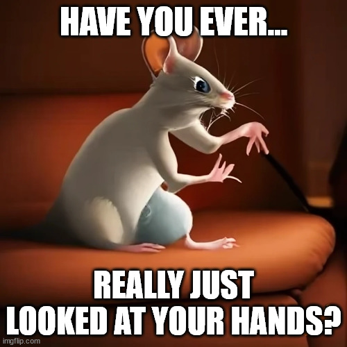 HAVE YOU EVER... REALLY JUST LOOKED AT YOUR HANDS? | made w/ Imgflip meme maker