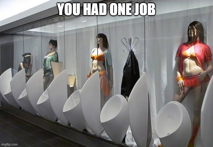 YOU HAD ONE JOB | image tagged in you had one job | made w/ Imgflip meme maker