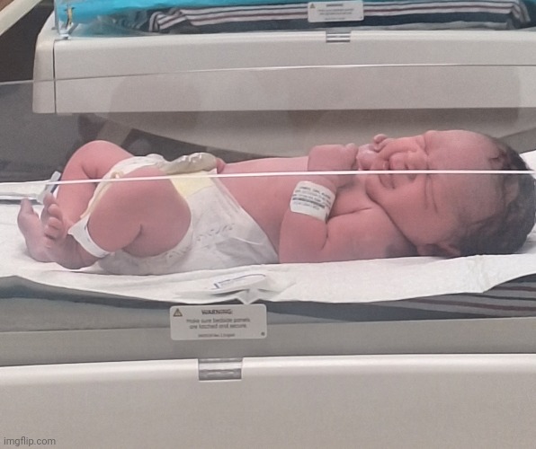 my new sister is finally here after about 8.72 months | made w/ Imgflip meme maker