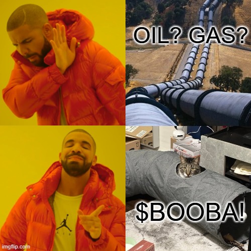 BOOBA COIN | OIL? GAS? $BOOBA! | image tagged in memes,drake hotline bling | made w/ Imgflip meme maker