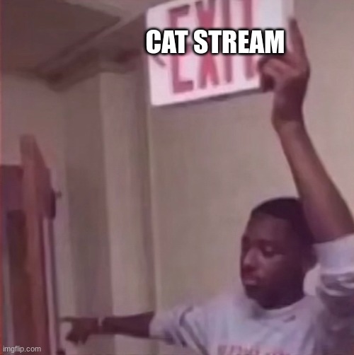 CAT STREAM | image tagged in get the farquaad out | made w/ Imgflip meme maker