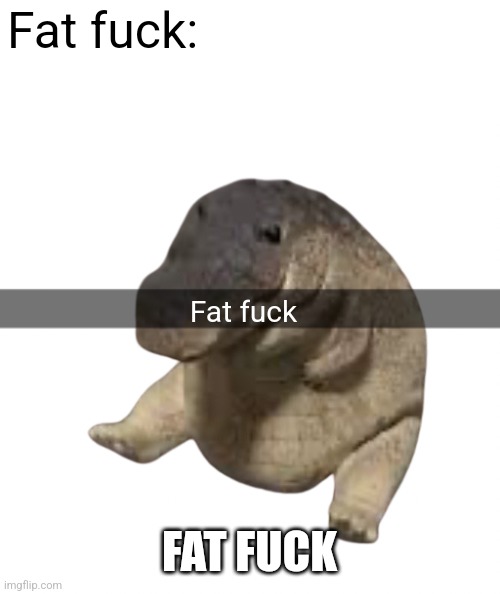fat fuck | Fat fuck:; Fat fuck; FAT FUCK | image tagged in fat fuck | made w/ Imgflip meme maker