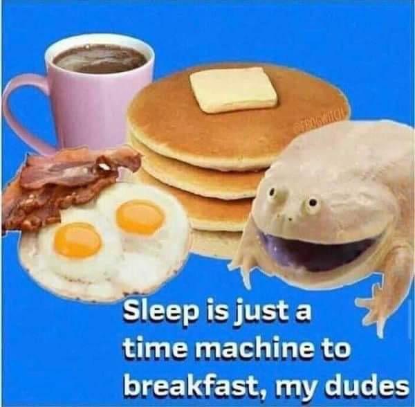 Sleep is just a time machine to breakfast, my dudes Blank Meme Template