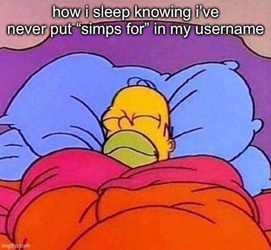 Homer Simpson sleeping peacefully | how i sleep knowing i’ve never put “simps for” in my username | image tagged in homer simpson sleeping peacefully | made w/ Imgflip meme maker