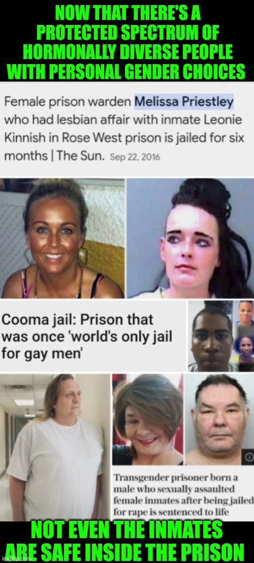 Funny | NOW THAT THERE'S A PROTECTED SPECTRUM OF HORMONALLY DIVERSE PEOPLE WITH PERSONAL GENDER CHOICES; NOT EVEN THE INMATES ARE SAFE INSIDE THE PRISON | image tagged in funny,prison,gender,gender identity,gender fluid,safety | made w/ Imgflip meme maker