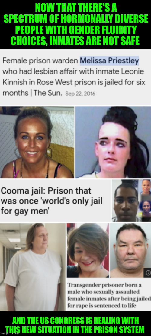 Funny | NOW THAT THERE'S A SPECTRUM OF HORMONALLY DIVERSE PEOPLE WITH GENDER FLUIDITY CHOICES, INMATES ARE NOT SAFE; AND THE US CONGRESS IS DEALING WITH THIS NEW SITUATION IN THE PRISON SYSTEM | image tagged in funny,congress,politics,prison,safety,decisions | made w/ Imgflip meme maker