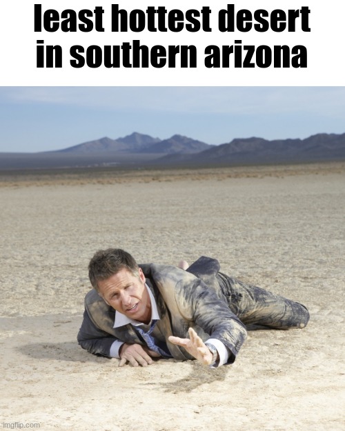 state slander 3 | least hottest desert in southern arizona | image tagged in desert crawler | made w/ Imgflip meme maker