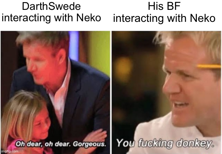 Gordon Ramsay kids vs adults | DarthSwede interacting with Neko; His BF interacting with Neko | image tagged in gordon ramsay kids vs adults | made w/ Imgflip meme maker