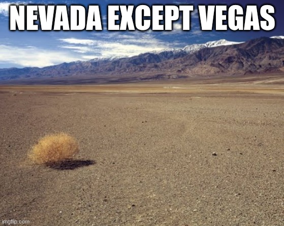 state slander 28 | NEVADA EXCEPT VEGAS | image tagged in desert tumbleweed | made w/ Imgflip meme maker