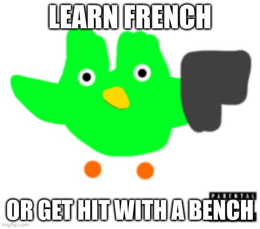 Uh oh. bro forgot their spanish lesson.... | LEARN FRENCH; OR GET HIT WITH A BENCH | image tagged in duolingo,french,bench | made w/ Imgflip meme maker