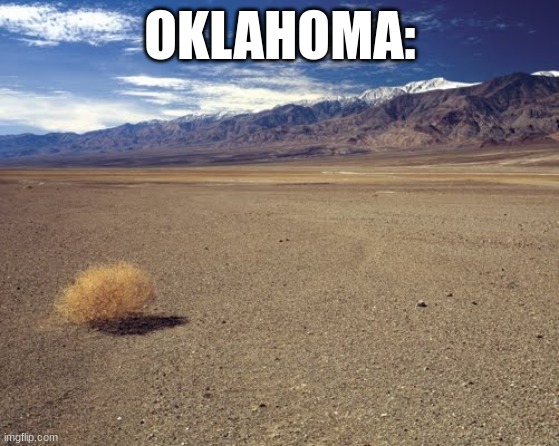 desert tumbleweed | OKLAHOMA: | image tagged in desert tumbleweed | made w/ Imgflip meme maker