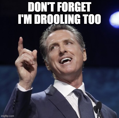 Gavin newsom | DON'T FORGET I'M DROOLING TOO | image tagged in gavin newsom | made w/ Imgflip meme maker
