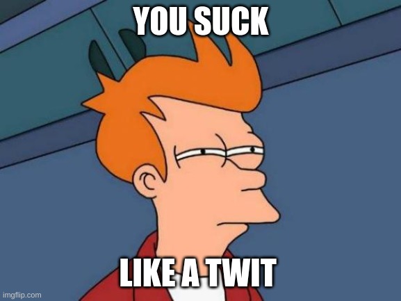 Futurama Fry | YOU SUCK; LIKE A TWIT | image tagged in memes,futurama fry | made w/ Imgflip meme maker