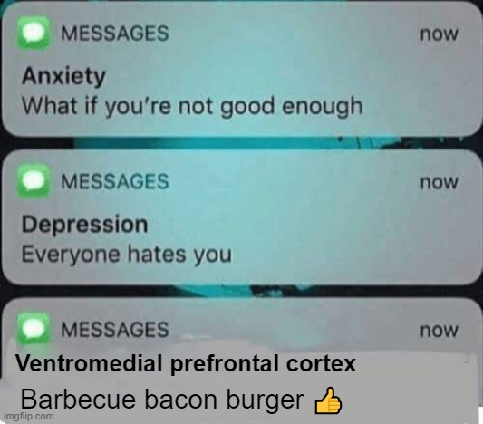 Anxiety/depression texts | Barbecue bacon burger 👍; Ventromedial prefrontal cortex | image tagged in anxiety/depression texts | made w/ Imgflip meme maker