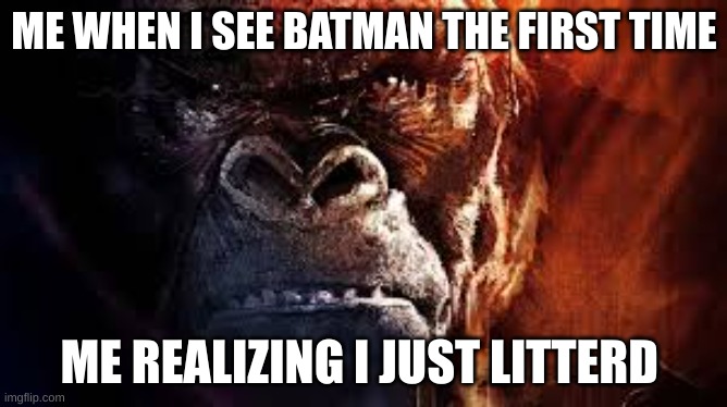 me | ME WHEN I SEE BATMAN THE FIRST TIME; ME REALIZING I JUST LITTERD | image tagged in me | made w/ Imgflip meme maker