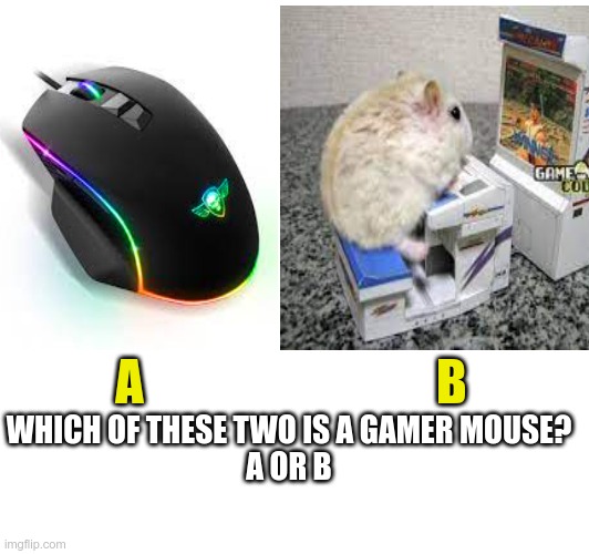 mmmm | A                              B; WHICH OF THESE TWO IS A GAMER MOUSE?
A OR B | image tagged in lol | made w/ Imgflip meme maker