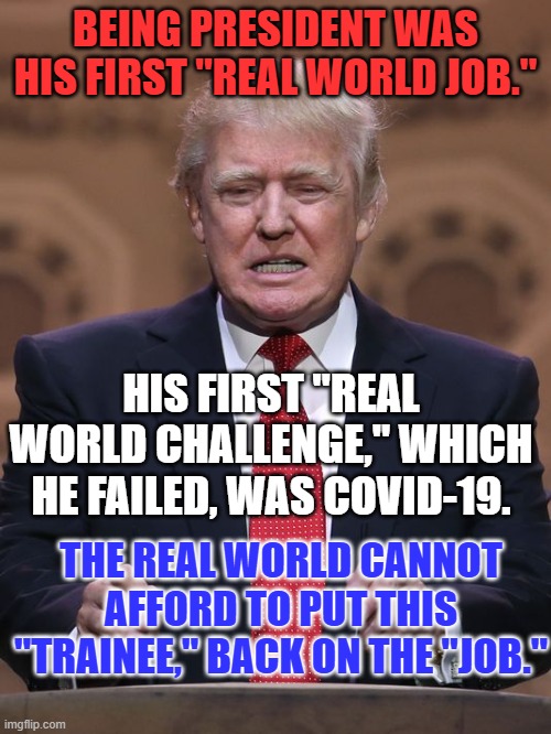 The only things he has ever made are excuses. | BEING PRESIDENT WAS HIS FIRST "REAL WORLD JOB."; HIS FIRST "REAL WORLD CHALLENGE," WHICH HE FAILED, WAS COVID-19. THE REAL WORLD CANNOT AFFORD TO PUT THIS "TRAINEE," BACK ON THE "JOB." | image tagged in donald trump | made w/ Imgflip meme maker