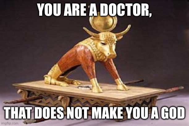 Doctor God | YOU ARE A DOCTOR, THAT DOES NOT MAKE YOU A GOD | image tagged in false idol,god,false,doctor,doctors,doctor and patient | made w/ Imgflip meme maker