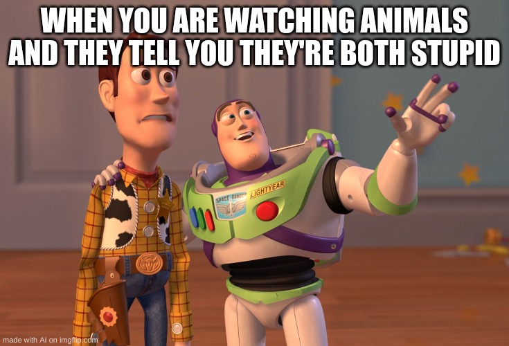 X, X Everywhere | WHEN YOU ARE WATCHING ANIMALS AND THEY TELL YOU THEY'RE BOTH STUPID | image tagged in memes,x x everywhere | made w/ Imgflip meme maker