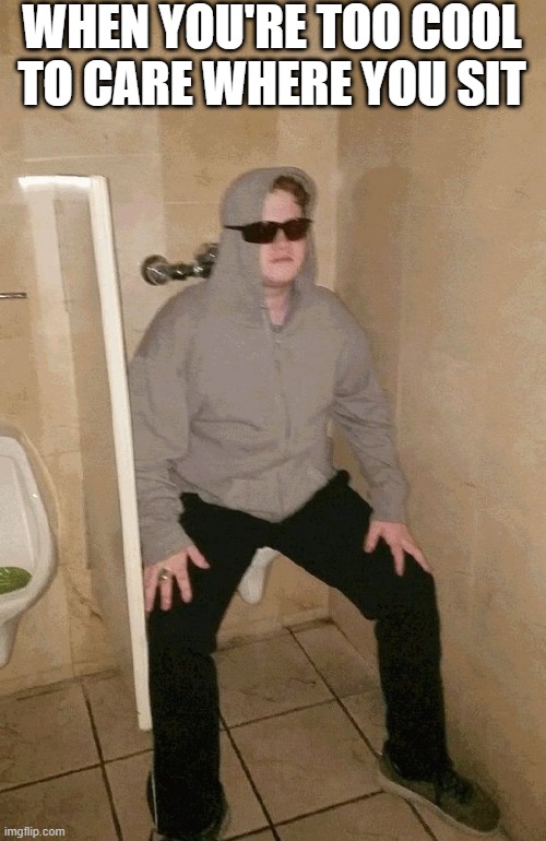 Bathroom | WHEN YOU'RE TOO COOL TO CARE WHERE YOU SIT | image tagged in memes | made w/ Imgflip meme maker