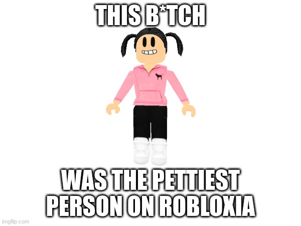 Like.. The music video wasn't it. | THIS B*TCH; WAS THE PETTIEST PERSON ON ROBLOXIA | image tagged in roblox | made w/ Imgflip meme maker