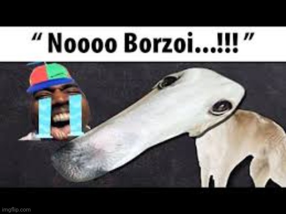 kids with borzoi dogs | image tagged in kids with borzoi dogs | made w/ Imgflip meme maker