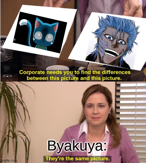 Raven dealing with another dirty kitten.... | Byakuya: | image tagged in memes,they're the same picture,bleach,fairy tail | made w/ Imgflip meme maker