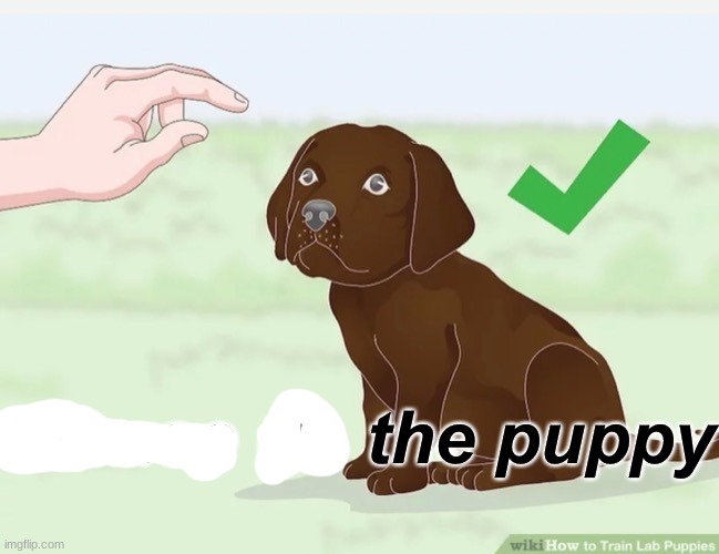 Please do the puppy | image tagged in please do the puppy | made w/ Imgflip meme maker