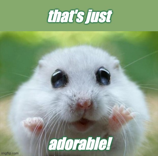 Hamster cute | that's just adorable! | image tagged in hamster cute | made w/ Imgflip meme maker