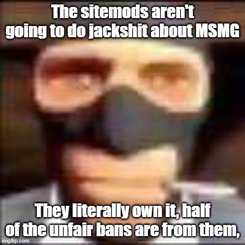 spi | The sitemods aren't going to do jackshit about MSMG; They literally own it, half of the unfair bans are from them, | image tagged in spi | made w/ Imgflip meme maker