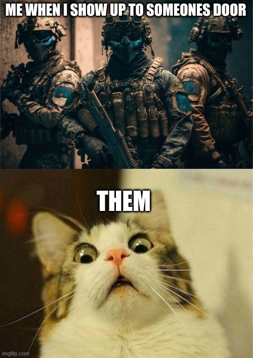 hehe | ME WHEN I SHOW UP TO SOMEONES DOOR; THEM | image tagged in memes,scared cat,swat,millatry | made w/ Imgflip meme maker