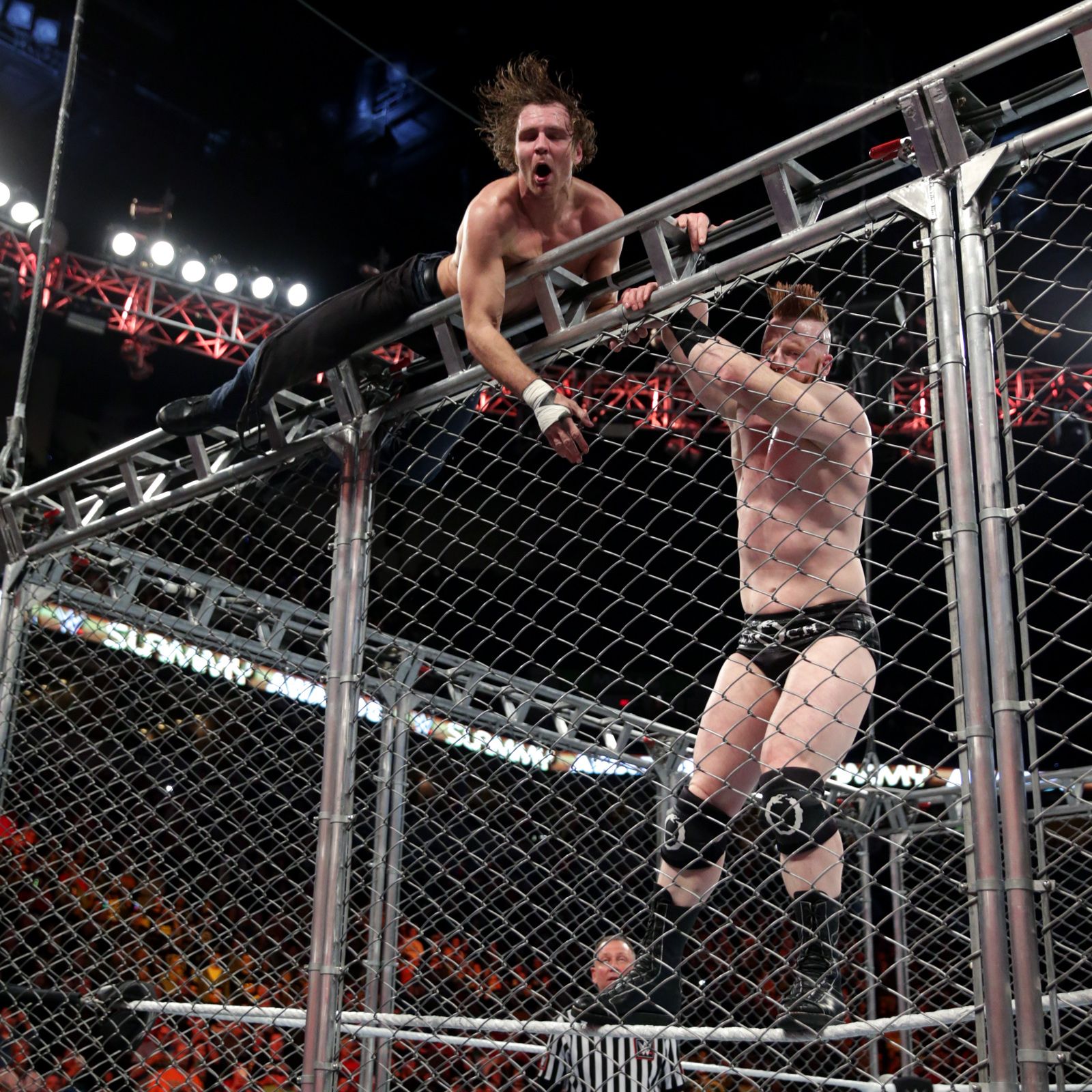 cage match Blank Meme Template