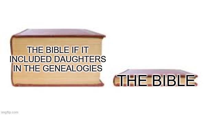 Bible genealogies | THE BIBLE; THE BIBLE IF IT INCLUDED DAUGHTERS IN THE GENEALOGIES | image tagged in big book small book,bible | made w/ Imgflip meme maker