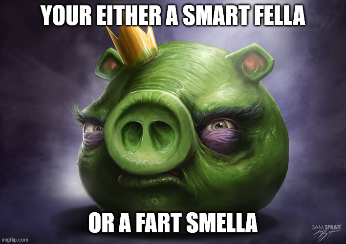 angry birds meme | YOUR EITHER A SMART FELLA; OR A FART SMELLA | image tagged in angry birds meme | made w/ Imgflip meme maker