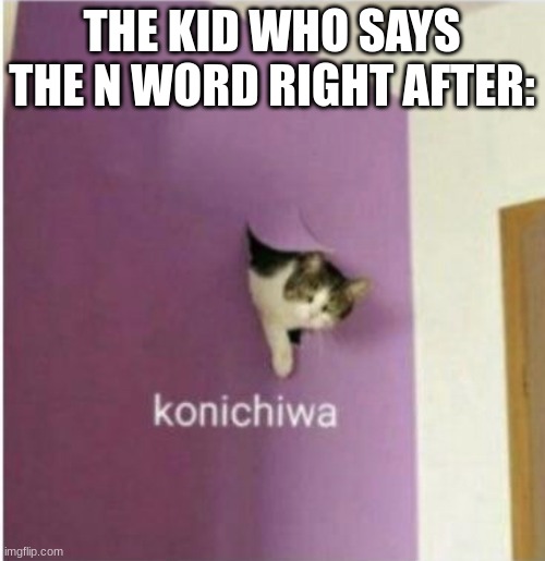 Konichiwa | THE KID WHO SAYS THE N WORD RIGHT AFTER: | image tagged in konichiwa | made w/ Imgflip meme maker