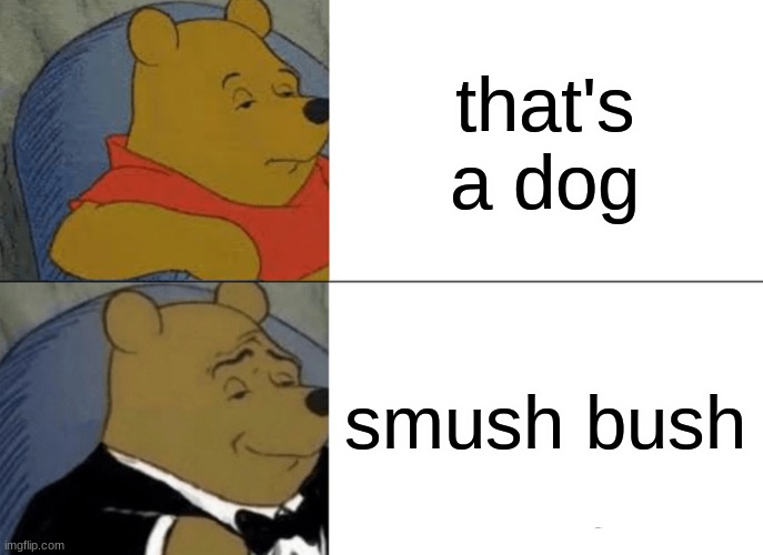 brain hurt so meme | that's a dog; smush bush | image tagged in memes,tuxedo winnie the pooh | made w/ Imgflip meme maker
