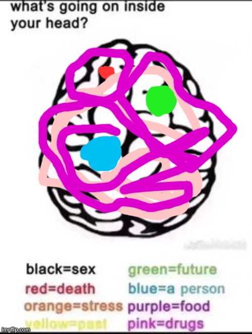 What's going on inside your head? | image tagged in what's going on inside your head | made w/ Imgflip meme maker